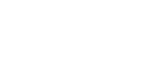 Speedo